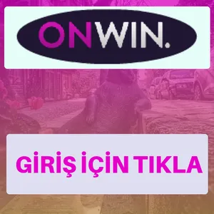 Onwin giriş